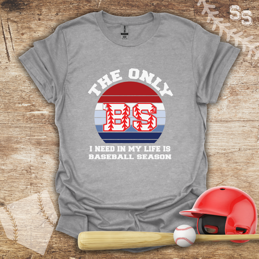 Only BS Baseball