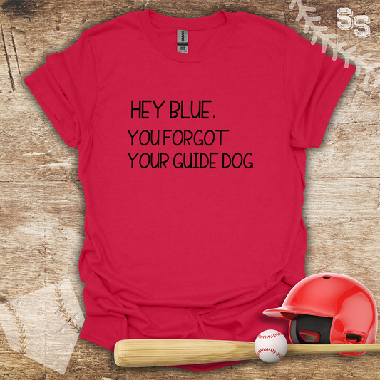 Umpire Guide Dog
