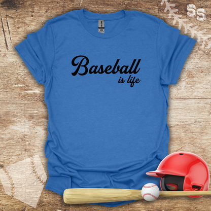 Baseball Life