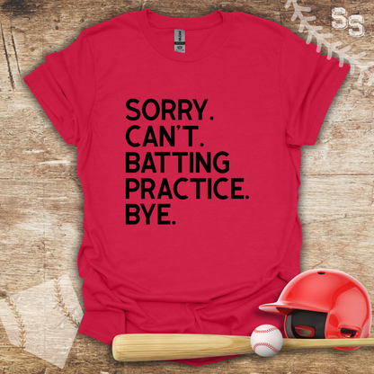 Sorry Can't Batting Practice